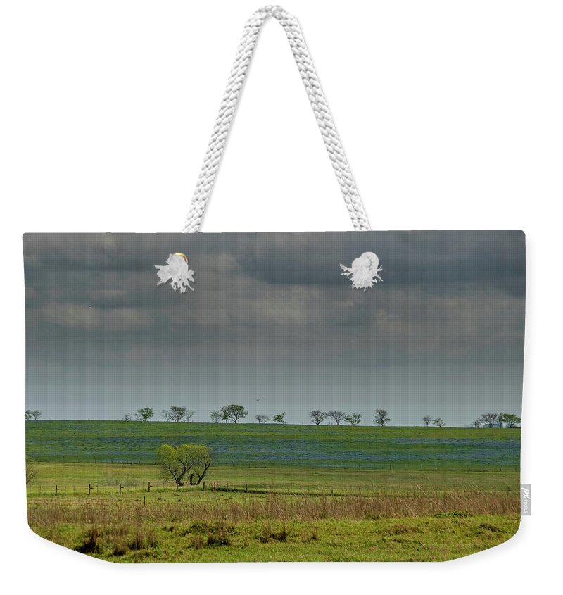 Exas Bluebonnets Weekender Tote Bag featuring the photograph Tree Line Blues by Johnny Boyd