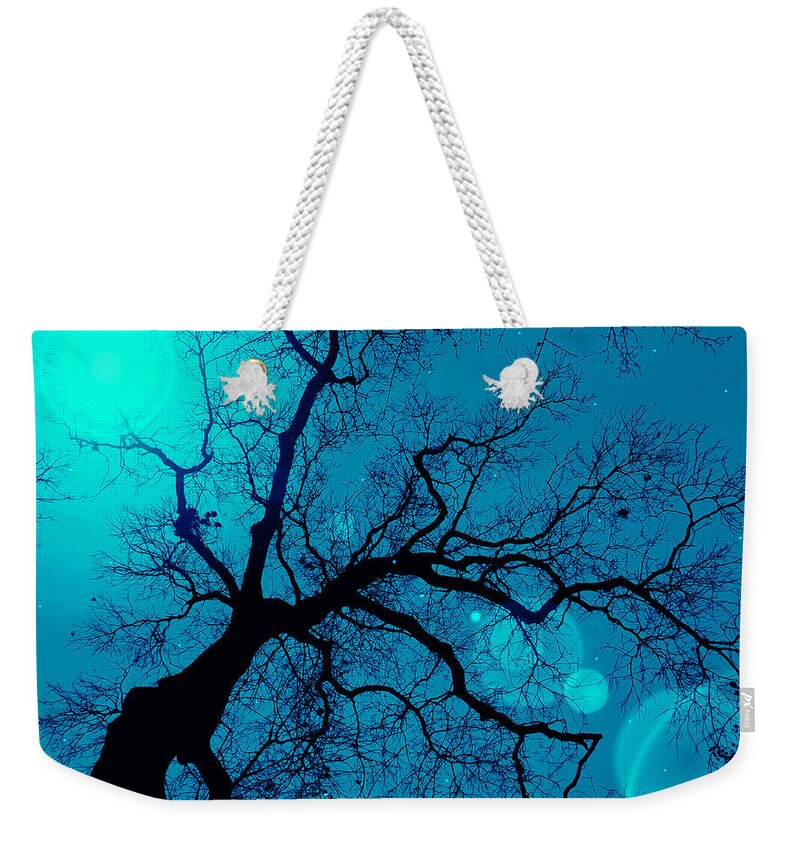 Landscape Weekender Tote Bag featuring the photograph Tree Art Print #5 by Jacob Folger