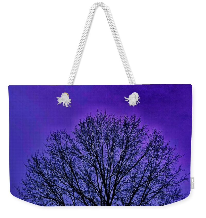 Trees Weekender Tote Bag featuring the photograph Tree Power by Ruben Carrillo