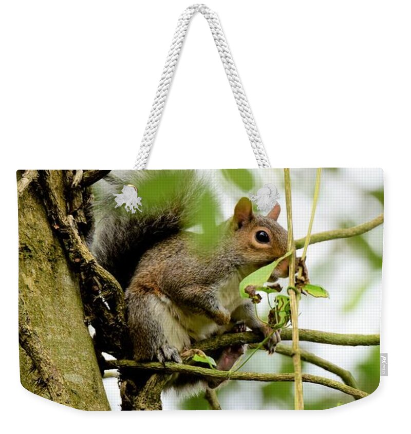 Tree Weekender Tote Bag featuring the photograph Tree Statue by Neil R Finlay