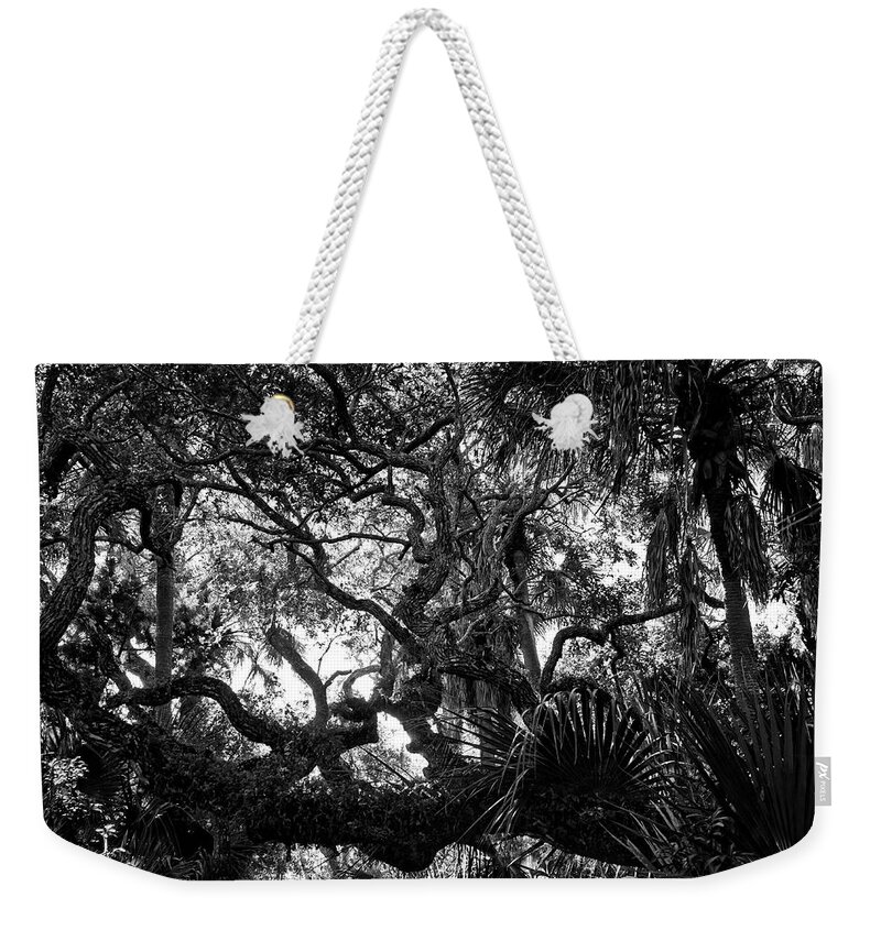 Texture Weekender Tote Bag featuring the photograph Tree Textures by George Taylor