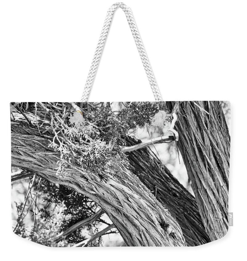 Flora Weekender Tote Bag featuring the photograph Tree trunk in black and white by Segura Shaw Photography