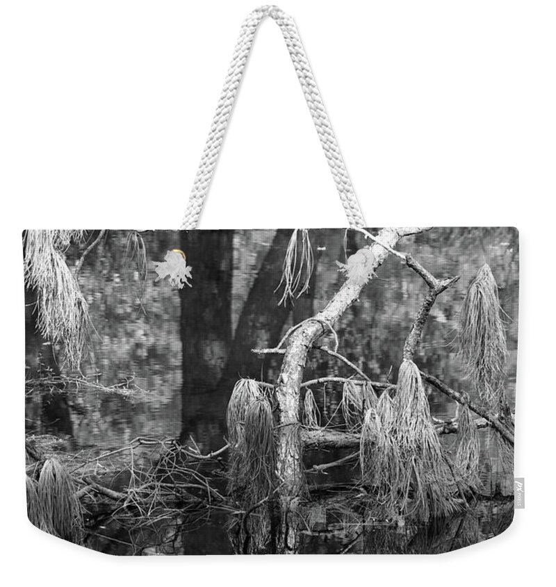 Bayou Weekender Tote Bag featuring the photograph Tree Undefined by Mary Anne Delgado