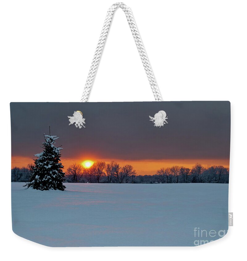 Nature Weekender Tote Bag featuring the photograph Tree Views by Len Tauro