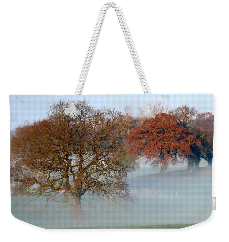 Trees Weekender Tote Bag featuring the photograph Trees Fourteen by Ian Hutson