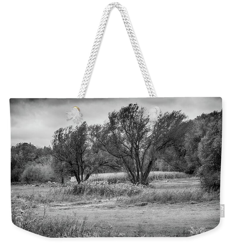 Trees Weekender Tote Bag featuring the photograph Trees in a Farmers Field by Alan Goldberg
