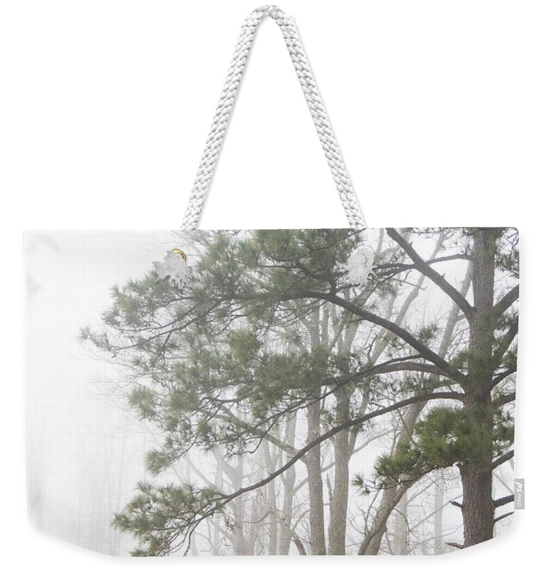 Trees Weekender Tote Bag featuring the photograph Trees in Fog Along the Banks of the Neuse River-Eastern North Carolina by Bob Decker