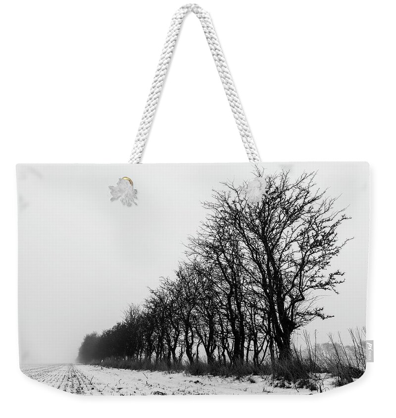 Trees Weekender Tote Bag featuring the photograph Trees in line by Mike Santis