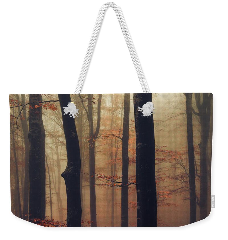Balkan Mountains Weekender Tote Bag featuring the photograph Trees in the Mist by Evgeni Dinev