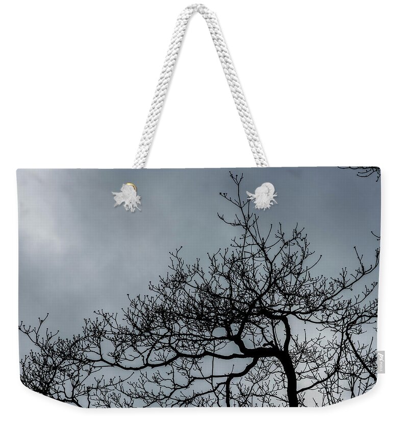 Tree Weekender Tote Bag featuring the photograph Trees in Winter's Sky by Alan Goldberg