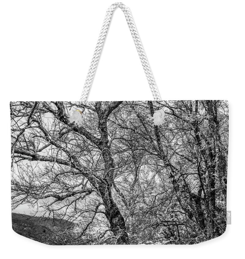 Cades Weekender Tote Bag featuring the photograph Trees on the Edge of the Forest in Black and White by Debra and Dave Vanderlaan