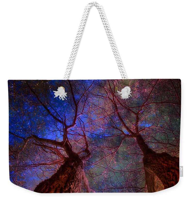 Trees Weekender Tote Bag featuring the digital art Trees Pointing Toward Heaven by Russ Considine