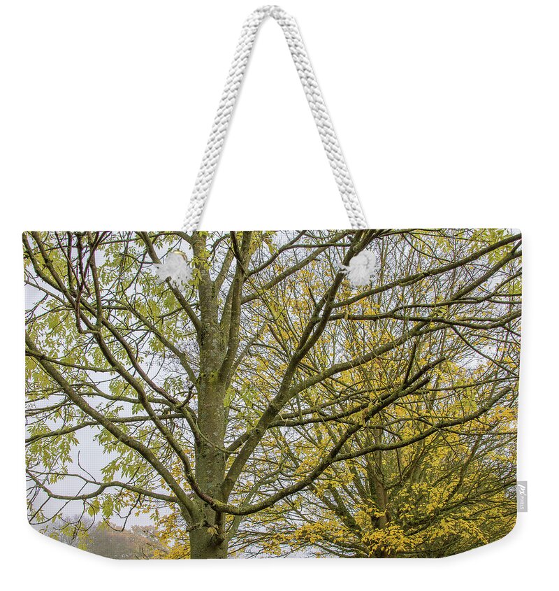 Trent Park Weekender Tote Bag featuring the photograph Trent Park Trees Fall 1 by Edmund Peston