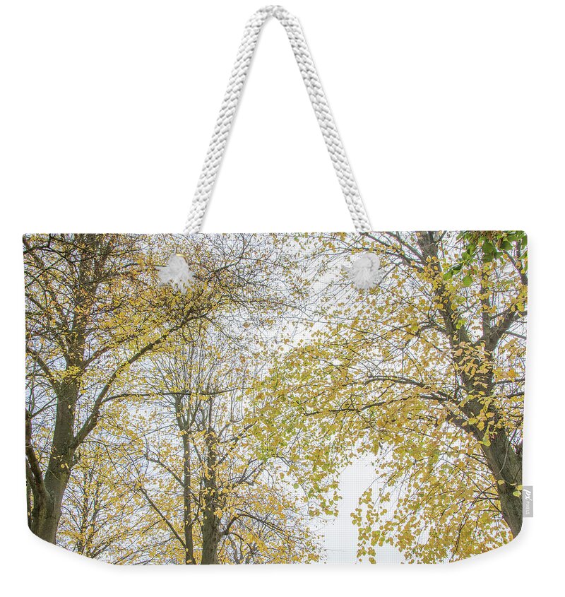 Trent Park Weekender Tote Bag featuring the photograph Trent Park Trees Fall 12 by Edmund Peston