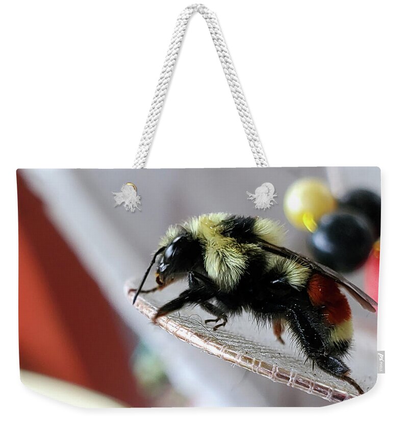 Bombus Ternarius Weekender Tote Bag featuring the photograph Tri-colored Bumble Bee by Jean Evans