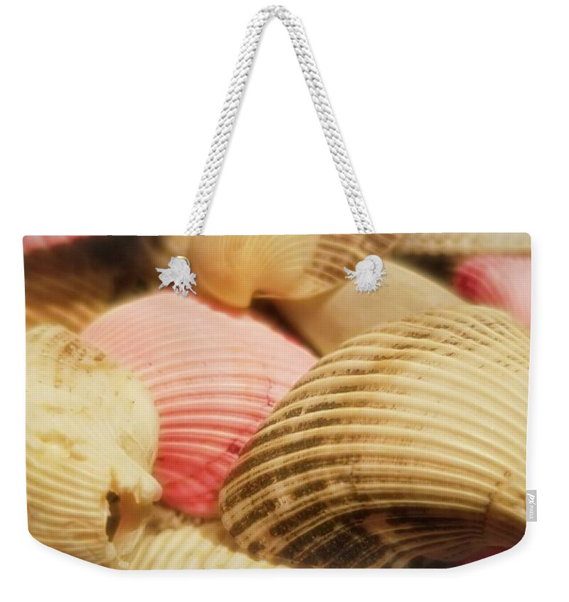 Shells Weekender Tote Bag featuring the photograph Tropical Colored Shells by Jason Fink