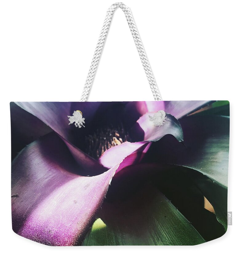  Weekender Tote Bag featuring the photograph Tropical by Michelle Hoffmann