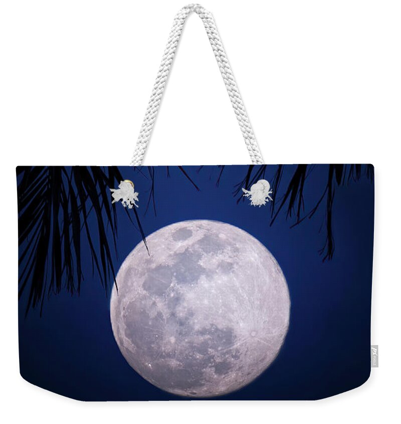 Moon Weekender Tote Bag featuring the photograph Tropical Moonglow by Mark Andrew Thomas