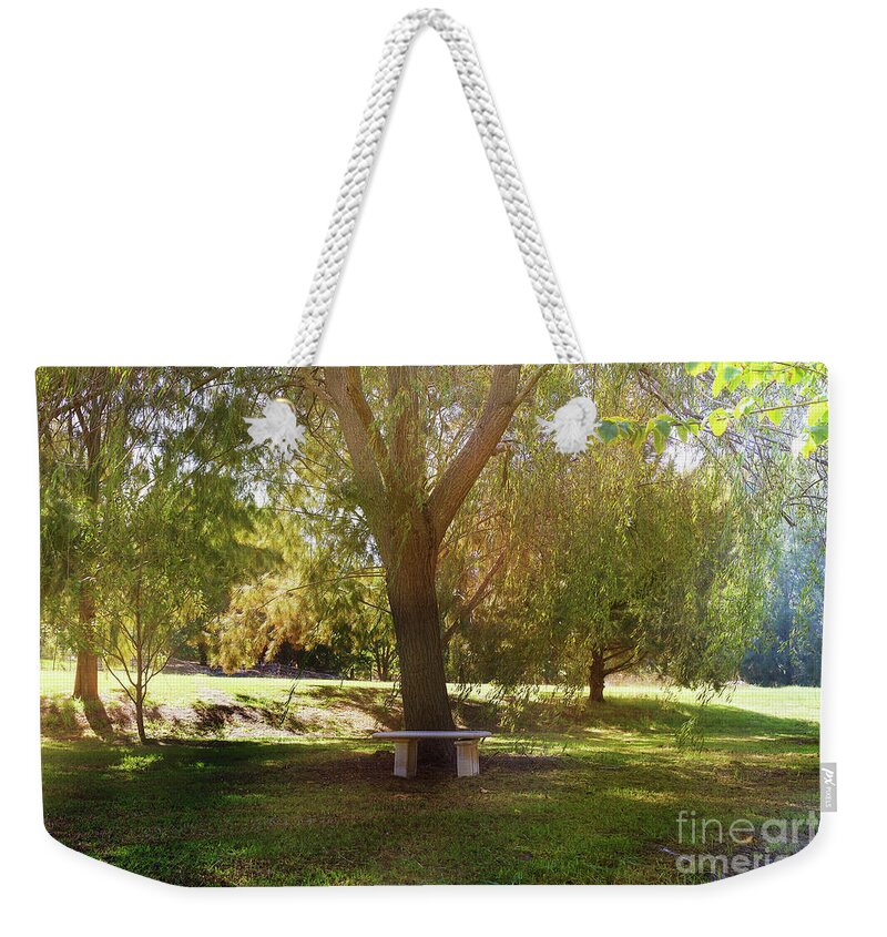 Garden Weekender Tote Bag featuring the photograph Trotts Cottage Garden by Elaine Teague