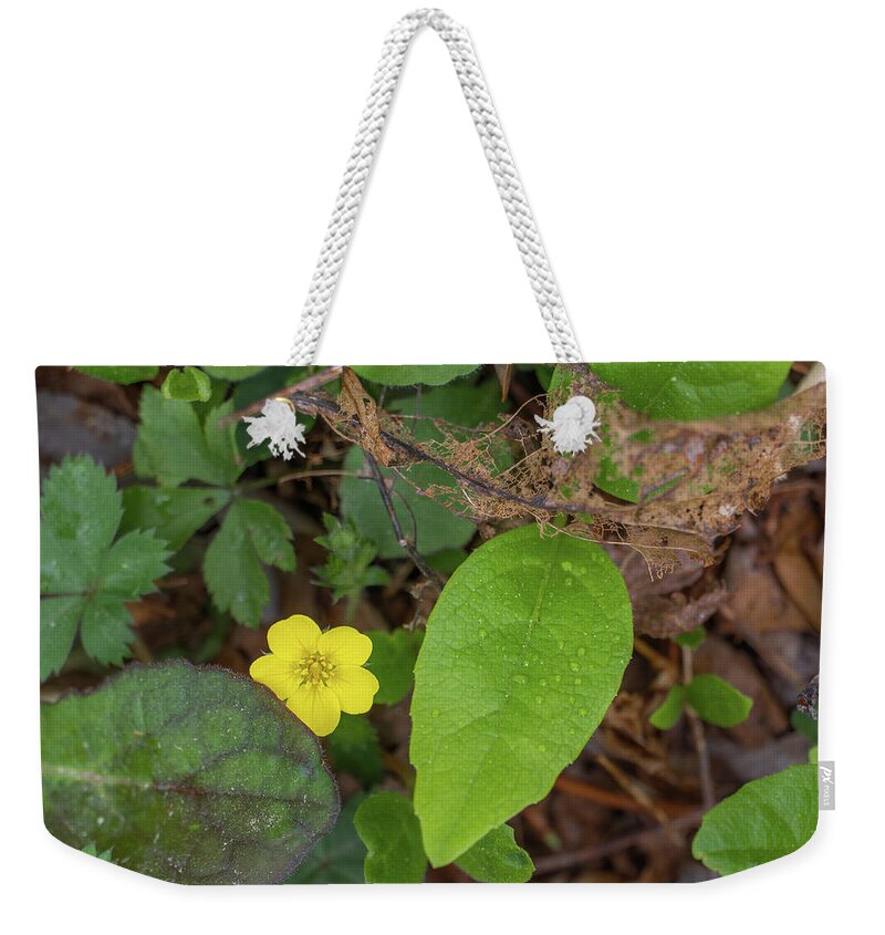Amicalola Falls Weekender Tote Bag featuring the photograph Tucked Away by David R Robinson