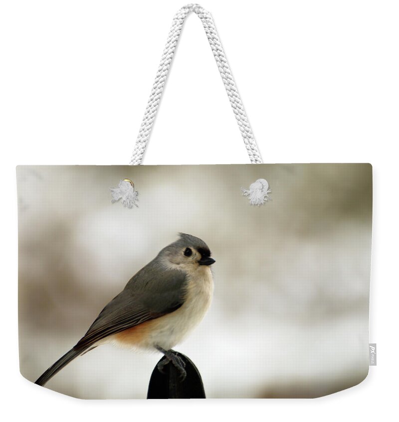 Tufted Tit Mouse Weekender Tote Bag featuring the photograph Tufted Tit Mouse by Laurie Lago Rispoli