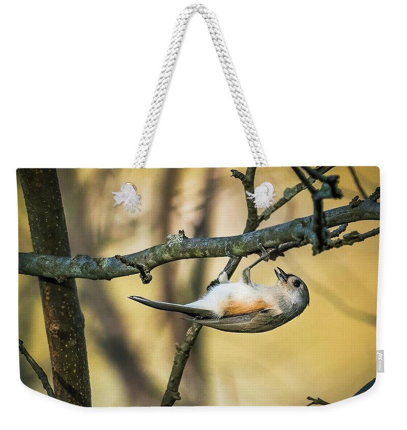 Tufted Titmouse Weekender Tote Bag featuring the photograph Tufted Titmouse. by Alexander Image