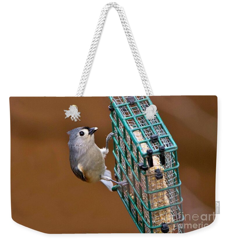 Tufted Weekender Tote Bag featuring the photograph Tufted titmouse feeding by Yvonne M Smith