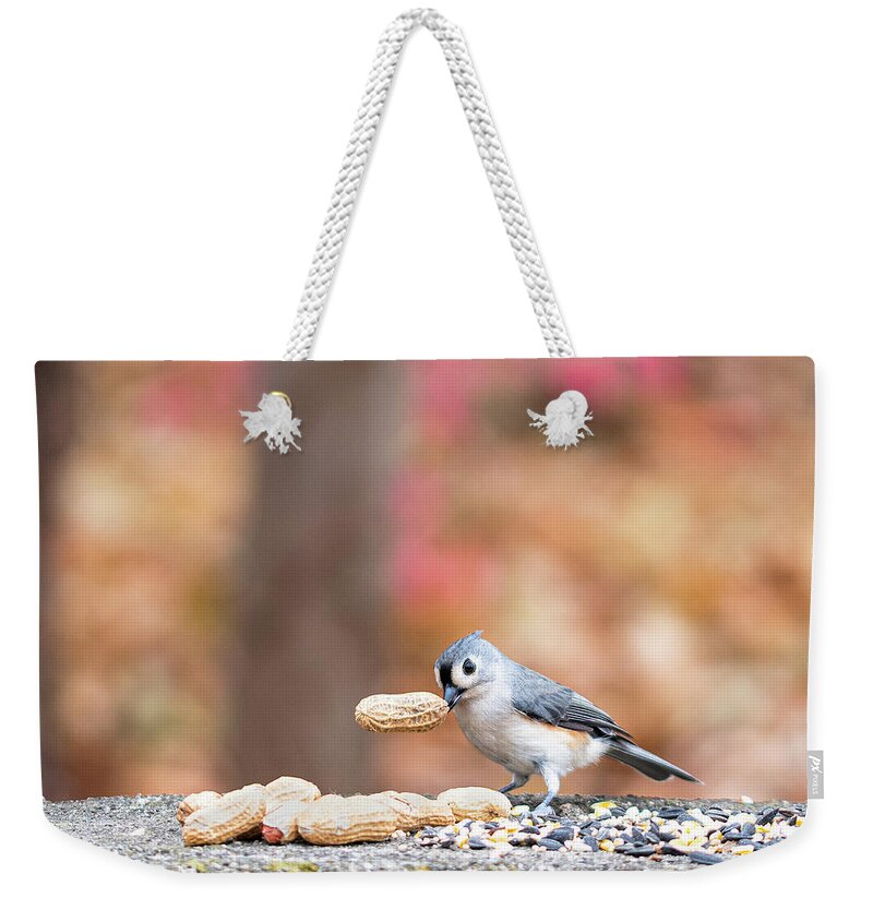 Little Gray Bird Weekender Tote Bag featuring the photograph Tufted Titmouse with Peanut Cropped by Ilene Hoffman