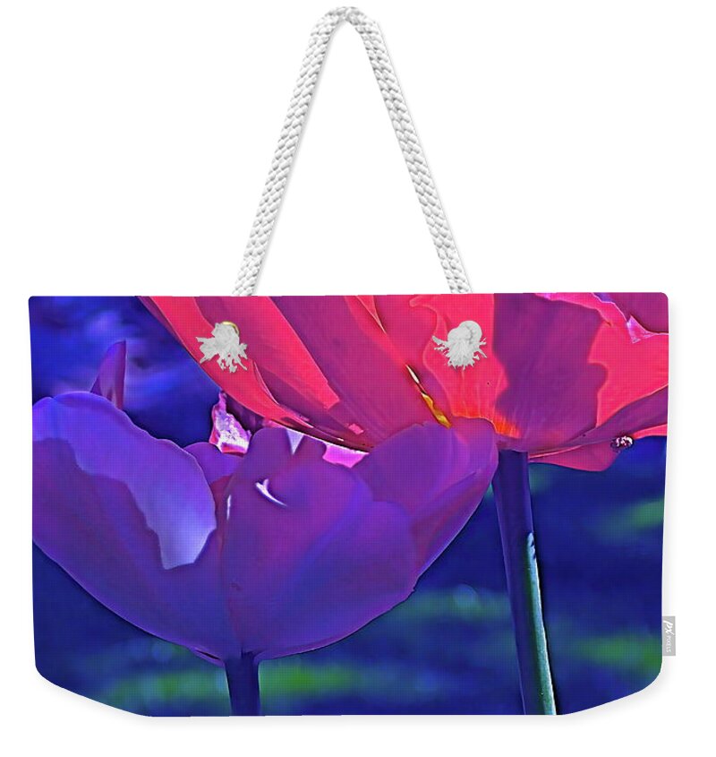 Tulips Weekender Tote Bag featuring the photograph Tulip 3 by Pamela Cooper