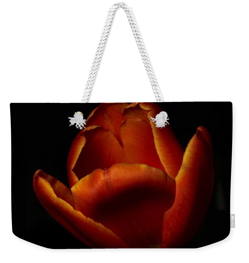 Botanical Weekender Tote Bag featuring the photograph Tulip 8063 by Julie Powell