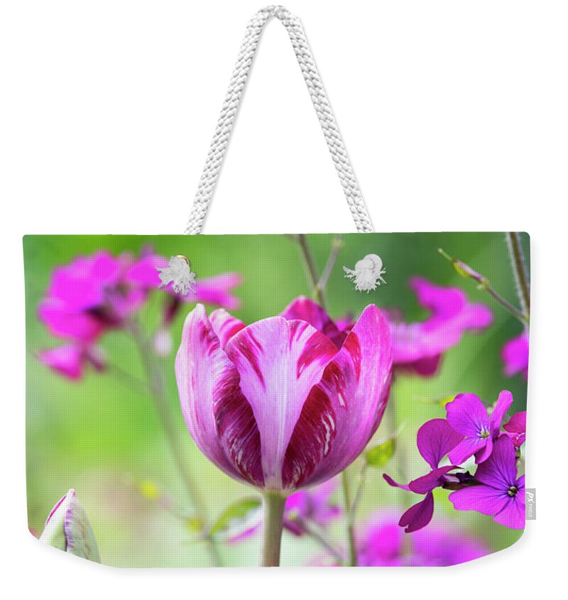 Tulip Weekender Tote Bag featuring the photograph Tulip Columbine by Tim Gainey