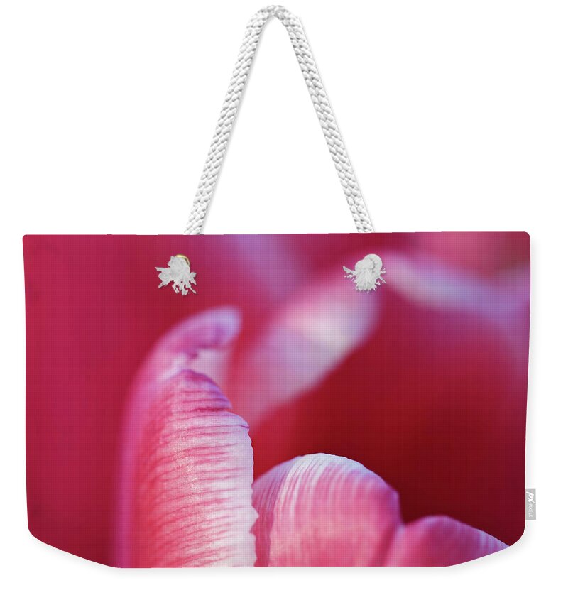 Pink Weekender Tote Bag featuring the photograph Tulip Detail by Maria Meester