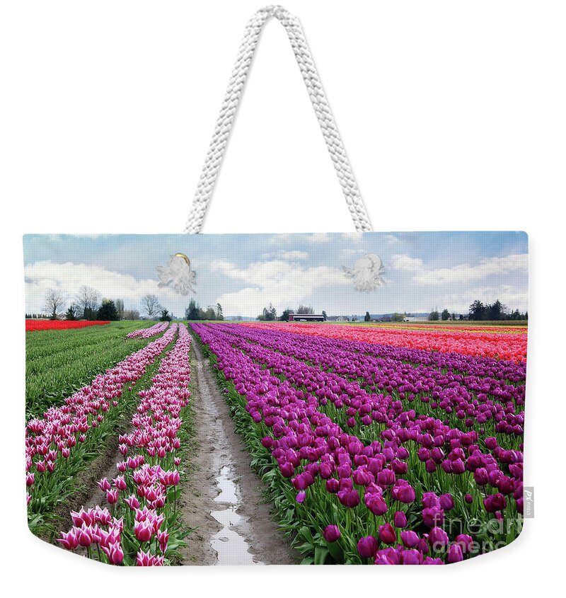 Tulips Weekender Tote Bag featuring the photograph Tulip Fields by Sylvia Cook