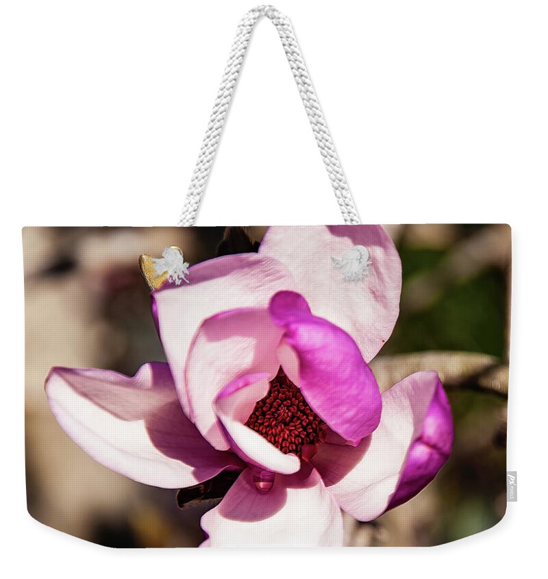 Tulip Magnolia Weekender Tote Bag featuring the photograph Tulip Magnolia Flower by Flees Photos