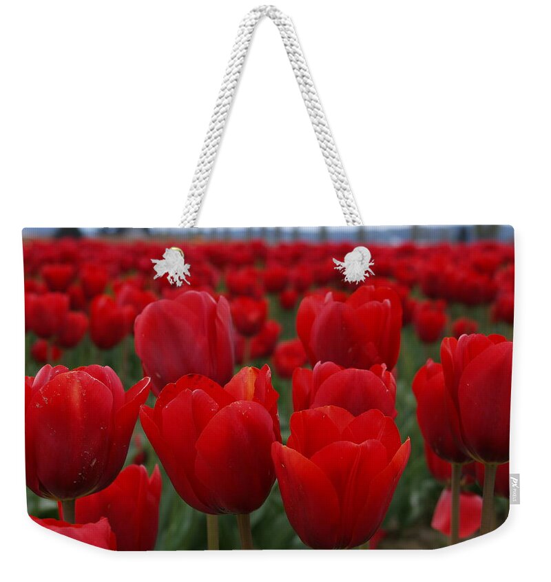 Washington Weekender Tote Bag featuring the photograph Tulip View H by Tara Krauss