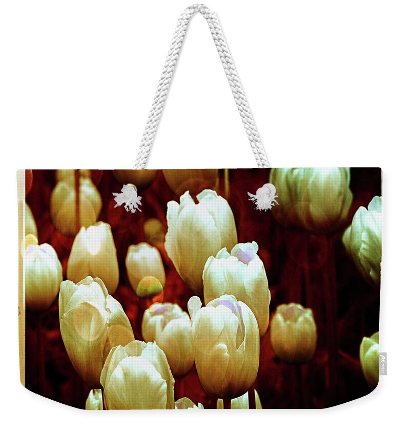 Tulips Weekender Tote Bag featuring the photograph Tulips Garden Hibster by Michelle Liebenberg