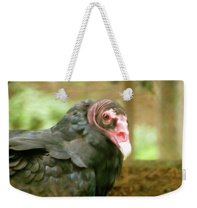 Bird Weekender Tote Bag featuring the photograph Turkey Vulture by Azthet Photography