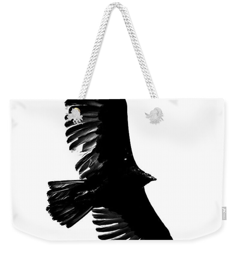 Deep Focus Weekender Tote Bag featuring the photograph Turkey Vulture by Mike Fusaro