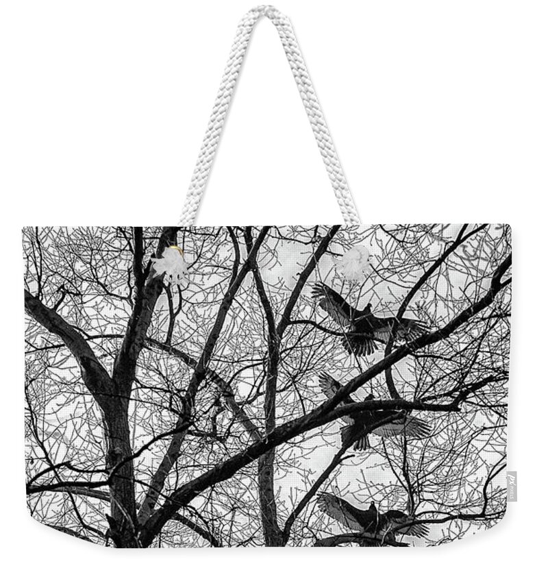 Birds Weekender Tote Bag featuring the photograph Turkey Vultures Photography by Louis Dallara