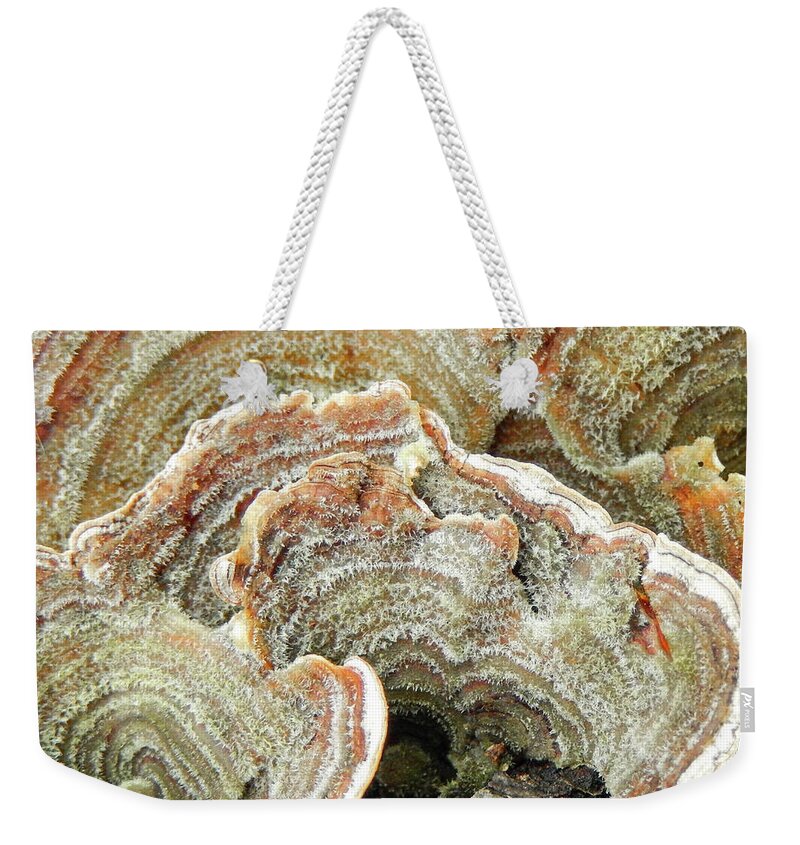 Abstract Weekender Tote Bag featuring the photograph Turkeytail Fungus Abstract by Karen Rispin