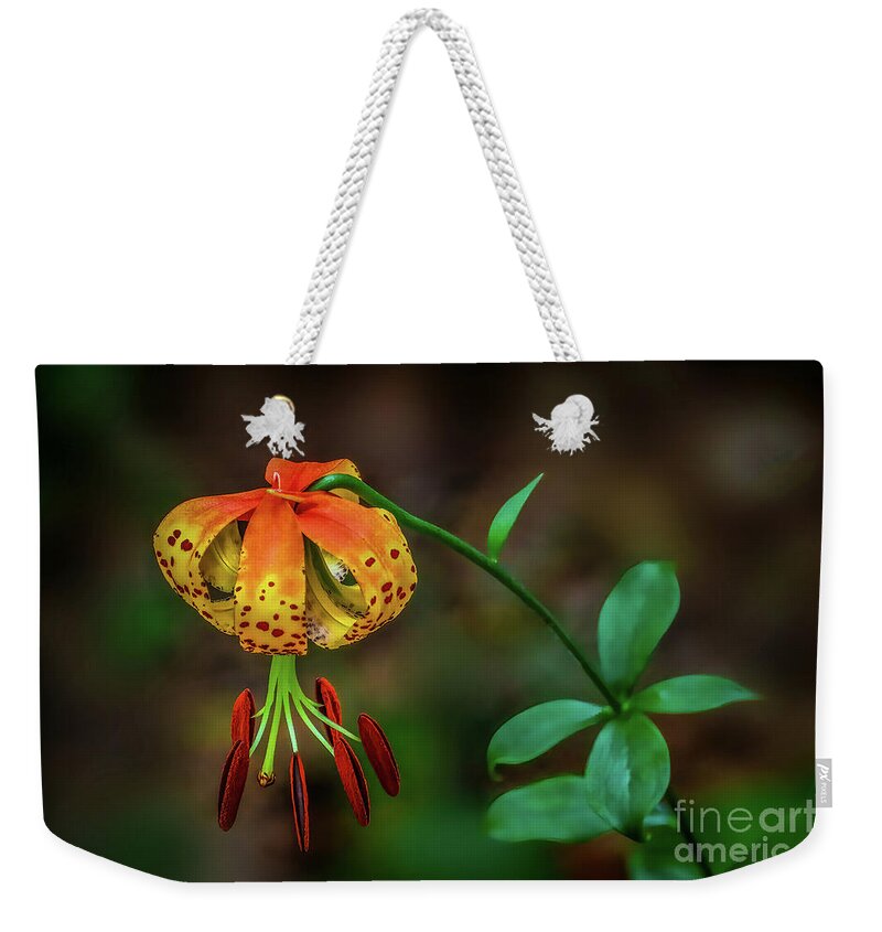 Lily Weekender Tote Bag featuring the photograph Turks Cap Lily by Shelia Hunt