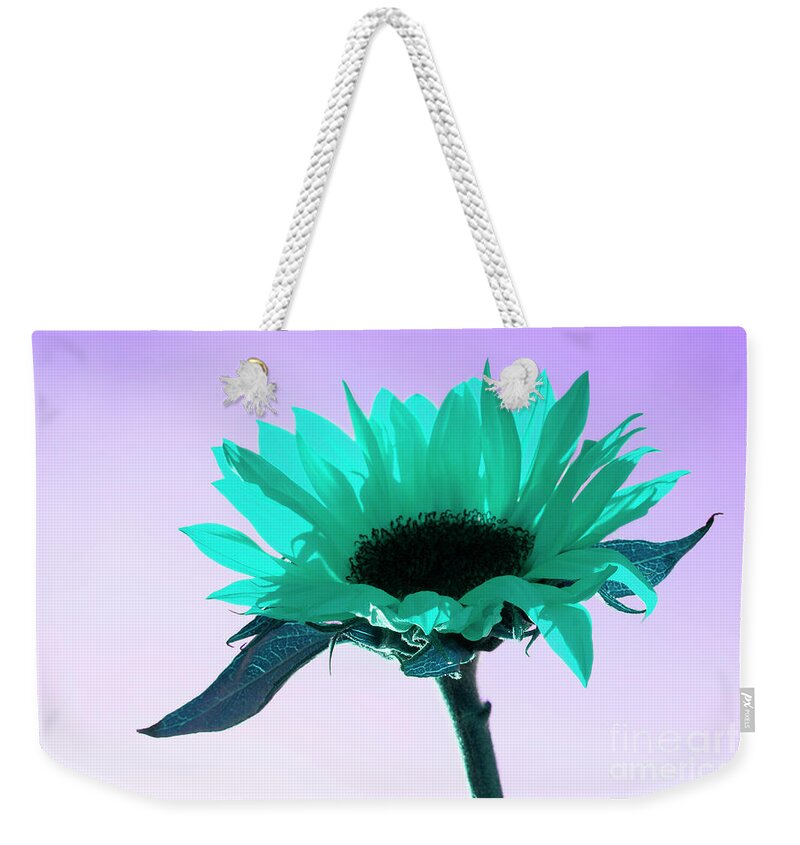 Floral Weekender Tote Bag featuring the photograph Turquoise Sunflower ART by Renee Spade Photography