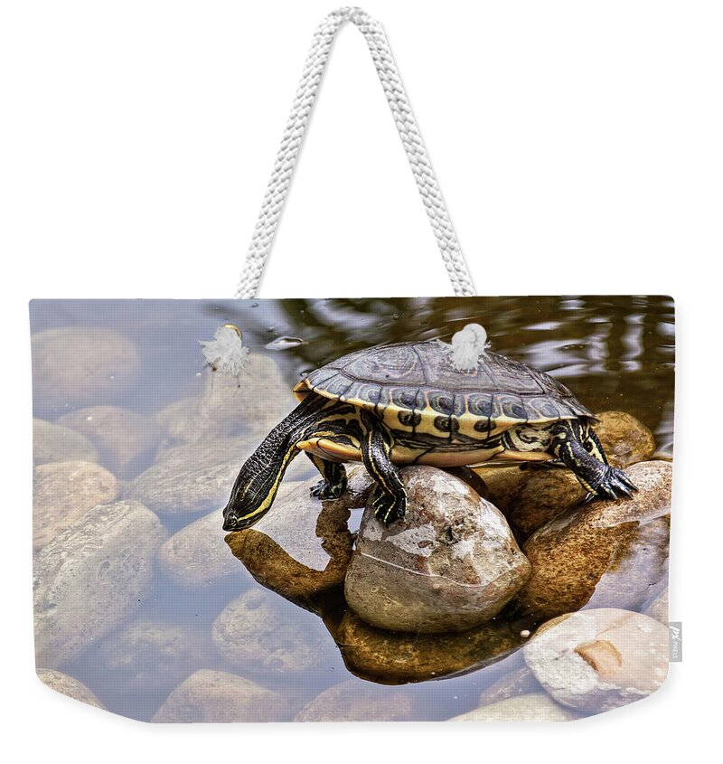 Turtle Weekender Tote Bag featuring the photograph Turtle drinking water by Tatiana Travelways