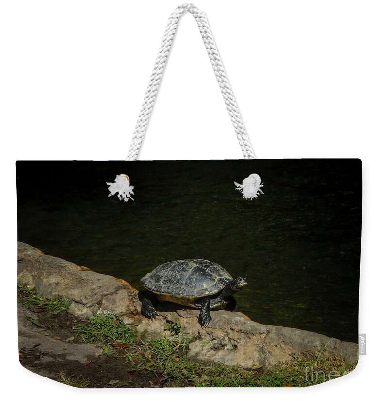 Turtle Weekender Tote Bag featuring the photograph Turtle in the Sun by Judy Hall-Folde