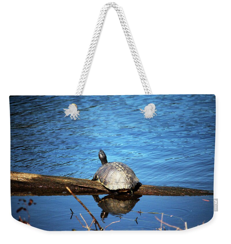 Turtle Weekender Tote Bag featuring the photograph Turtle Reflection by Cynthia Guinn