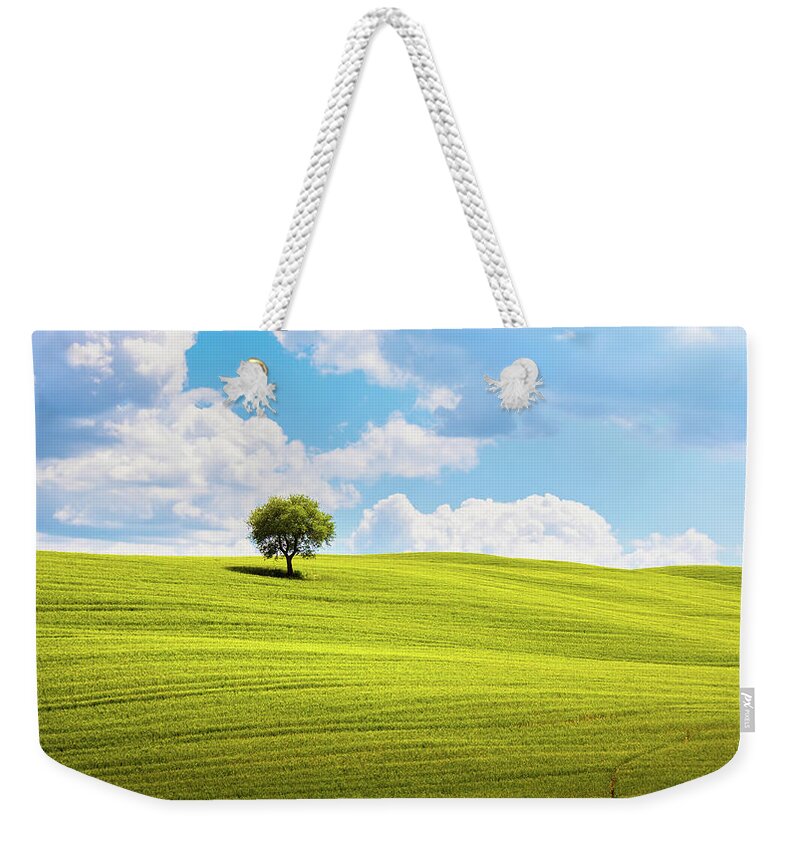 Tree Weekender Tote Bag featuring the photograph Tuscany, olive tree and green fields. Montalcino Orcia, Italy. by Stefano Orazzini