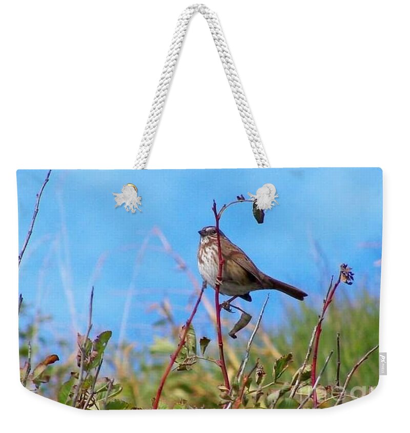 Birds Weekender Tote Bag featuring the photograph Twiggy Bird by Kimberly Furey