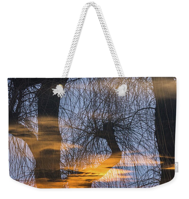 Netherlands Weekender Tote Bag featuring the photograph Twilight zone in the magic forest by Casper Cammeraat