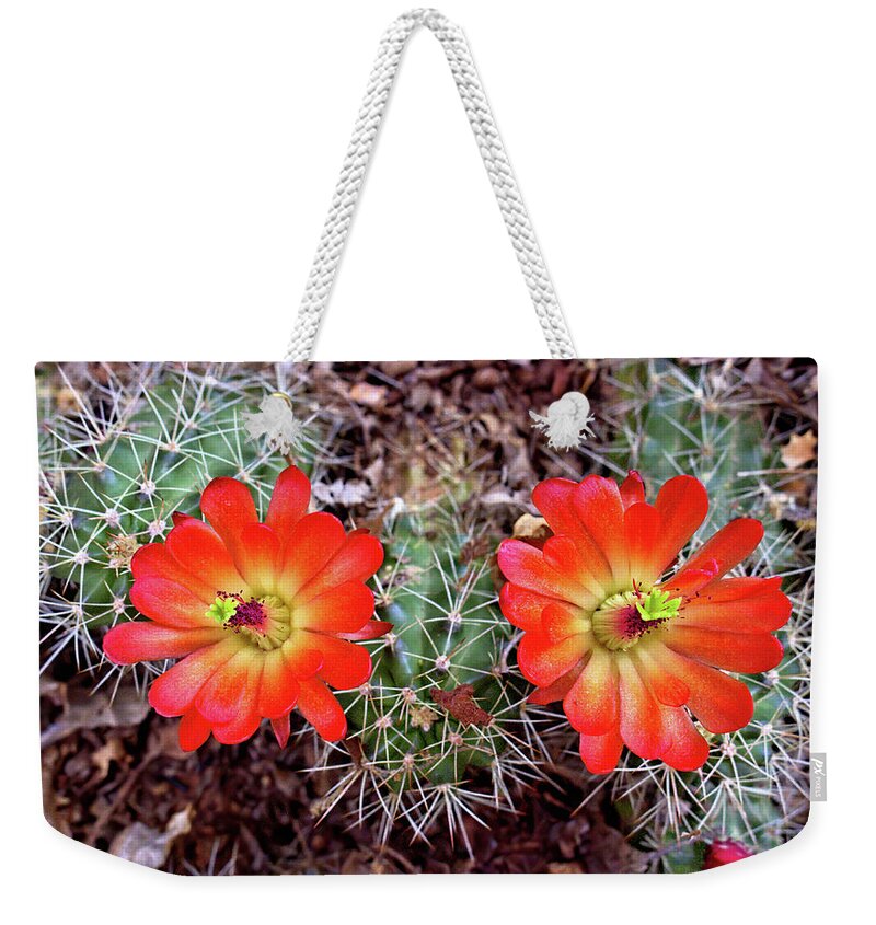 Cacti Weekender Tote Bag featuring the photograph Twin Claret Cup Cactus by Bob Falcone
