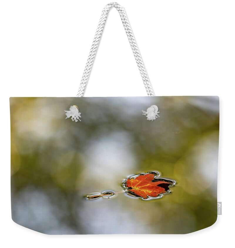 Autumn Weekender Tote Bag featuring the photograph Twin Lakes Gold by Kevin Suttlehan